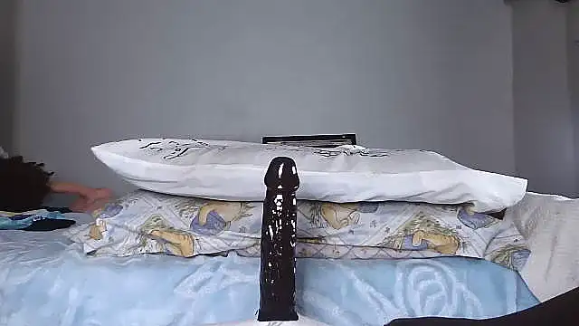 shoshortyy webcam