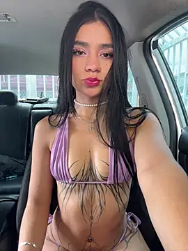 Dakota-fire webcam