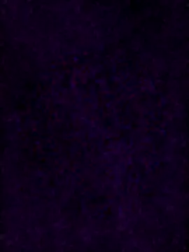 fischnet live cam on StripChat