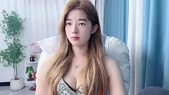 Nicoa2026 webcam