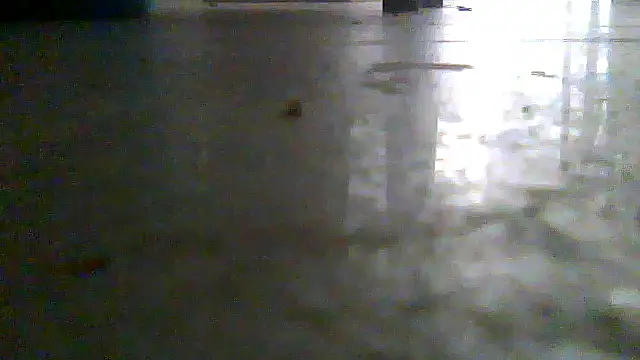 SirFrankonde webcam