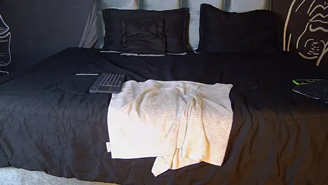 Liam_Sinclair_ webcam