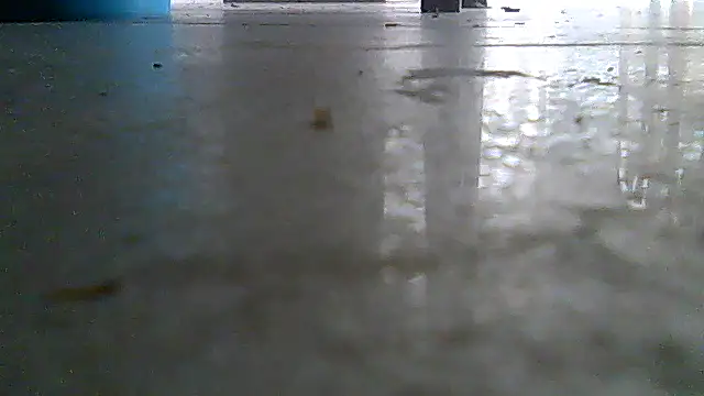 SirFrankonde webcam