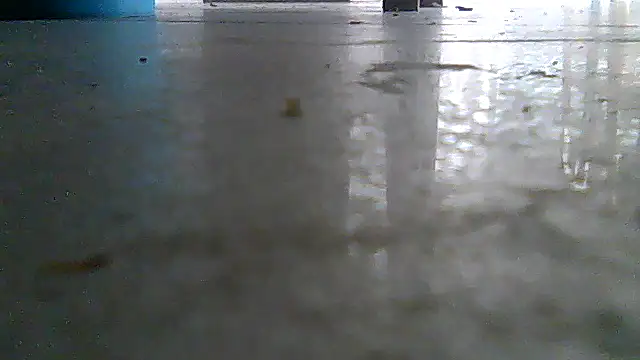 SirFrankonde webcam