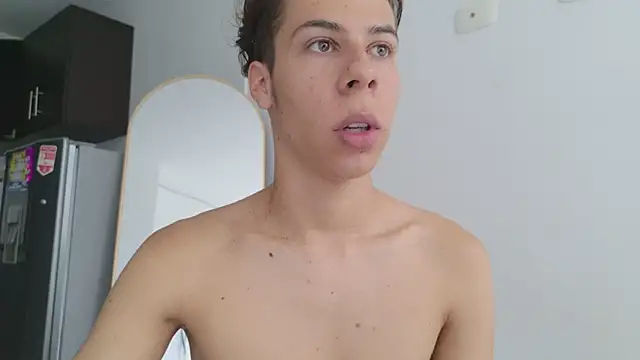 grey___27 webcam
