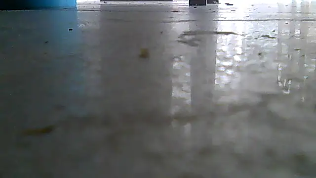 SirFrankonde webcam