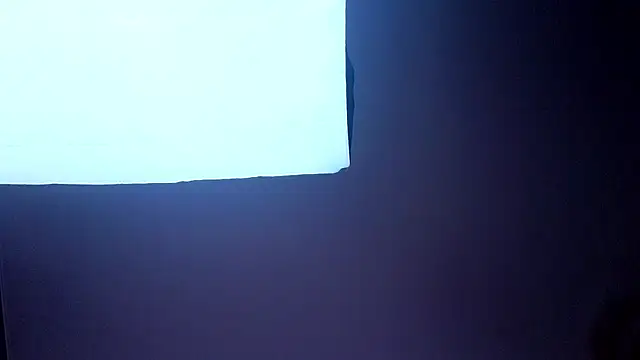 PerryKitty webcam