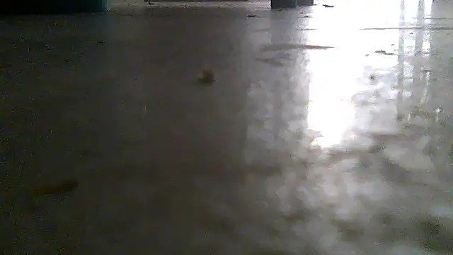 SirFrankonde webcam