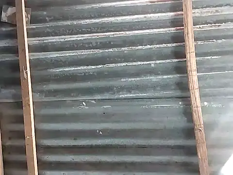 hoteder live webcam show