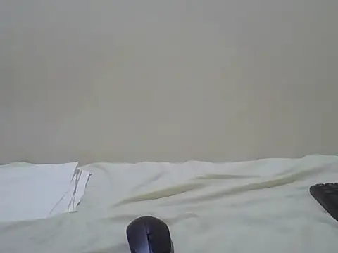 Swt_pie webcam