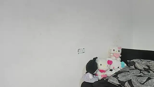 Eirlysx webcam