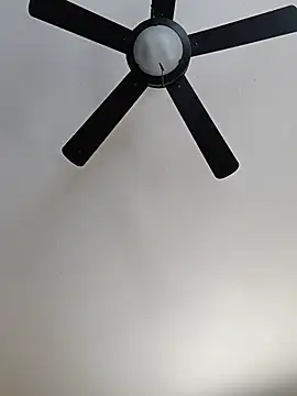phillywoods1