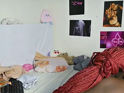 Aria_ah webcam