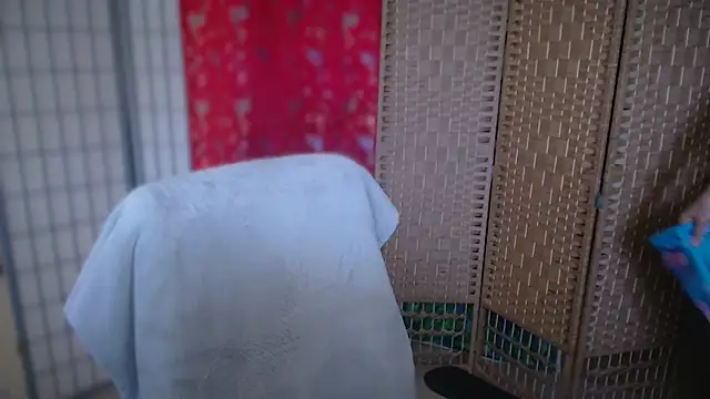 petradaniels webcam