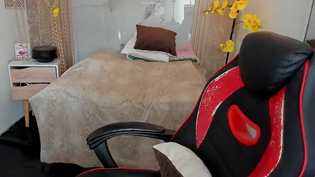 AriaVega webcam
