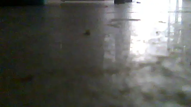 SirFrankonde webcam
