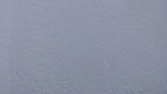 Carolina_zabala_19