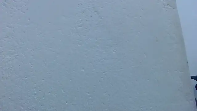carolina_zabala_19
