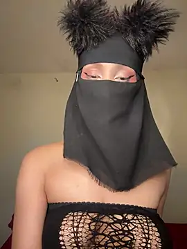 arabayla webcam