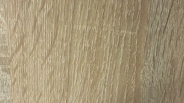 NoFace_Model webcam