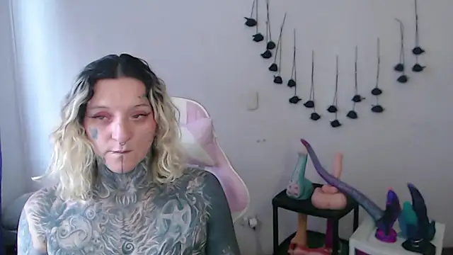 SLOPPYTITSS webcam