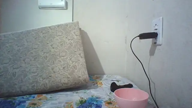 Vanessinhadappkrosa webcam