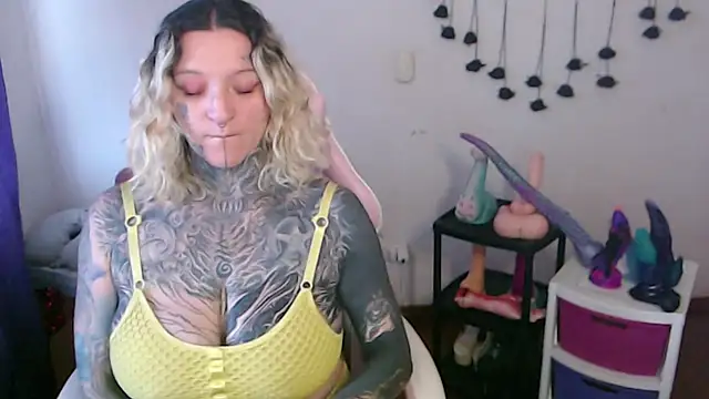 SLOPPYTITSS webcam