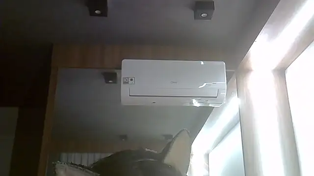 SkinnyKitten live cam