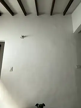 Arilw live webcam show