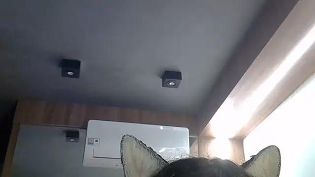 SkinnyKitten live cam