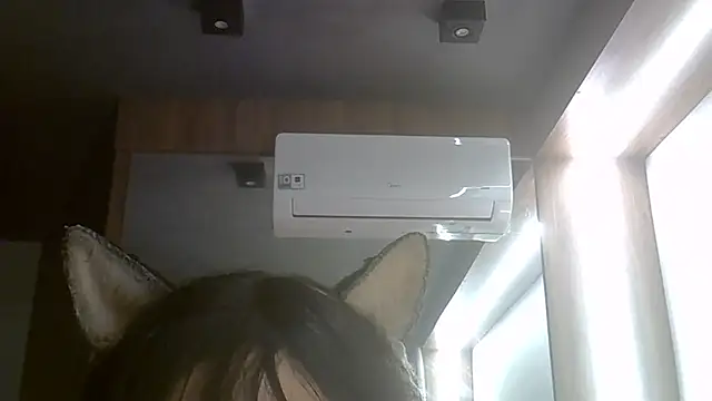 SkinnyKitten webcam