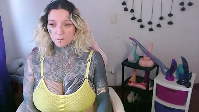 SLOPPYTITSS webcam