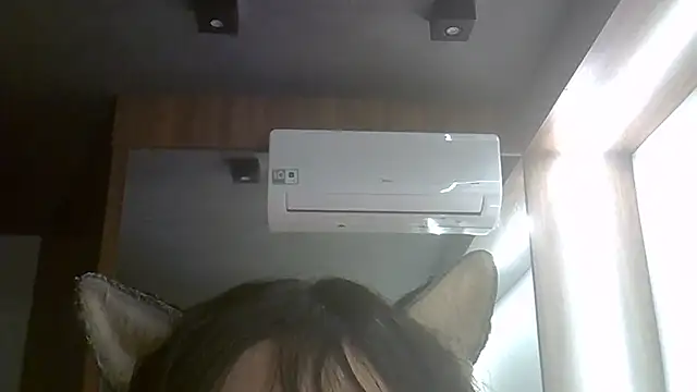 SkinnyKitten webcam