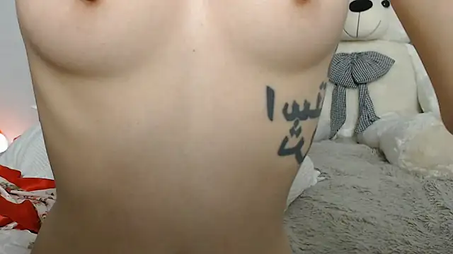 traxexe webcam