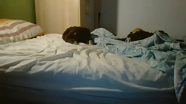 Algamalgamin live cam on StripChat