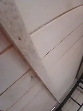 Sexocam