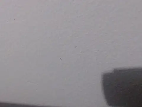 adriana_0312 (F milf) - Shake  boobs naked
