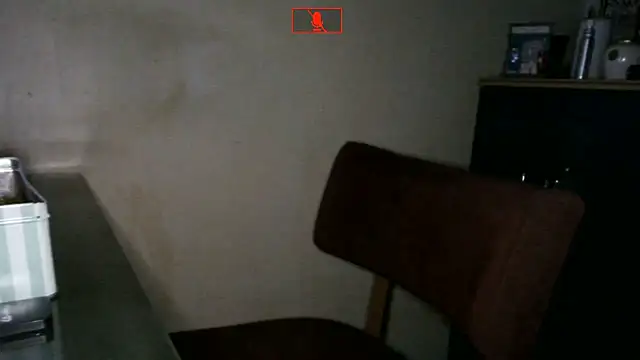 Hgay6935 webcam