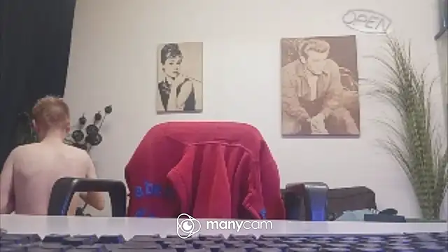 der_dino30 webcam