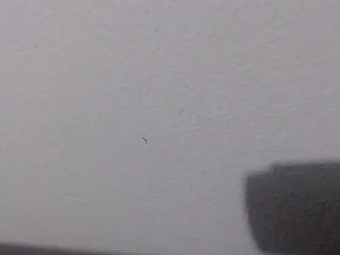 Adriana_0312 webcam