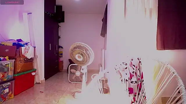 Leslie_Bussh_ webcam