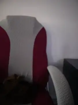 Sasha-firee webcam