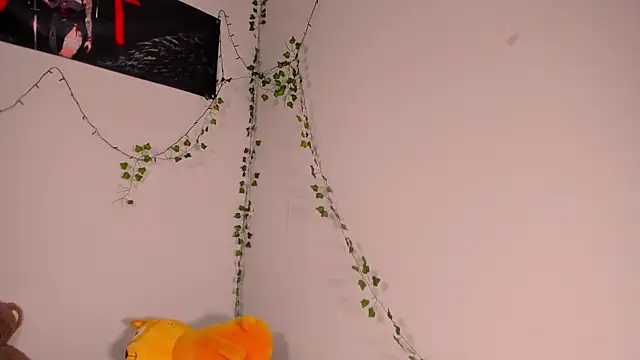 FruttiTatti webcam