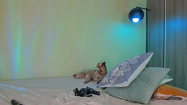 Fluffygarden webcam