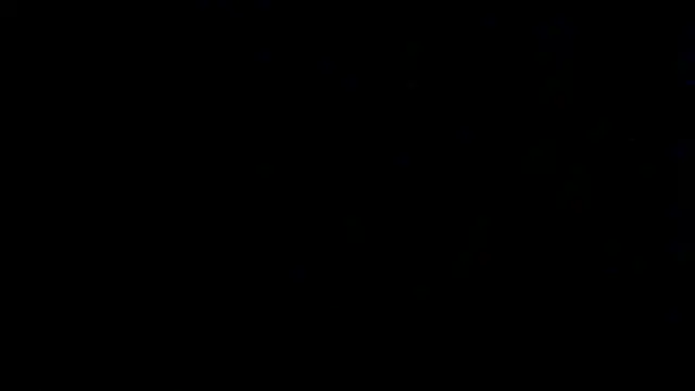 SirFrankonde webcam