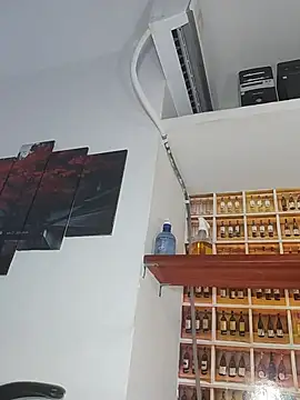 _Shirley_ webcam