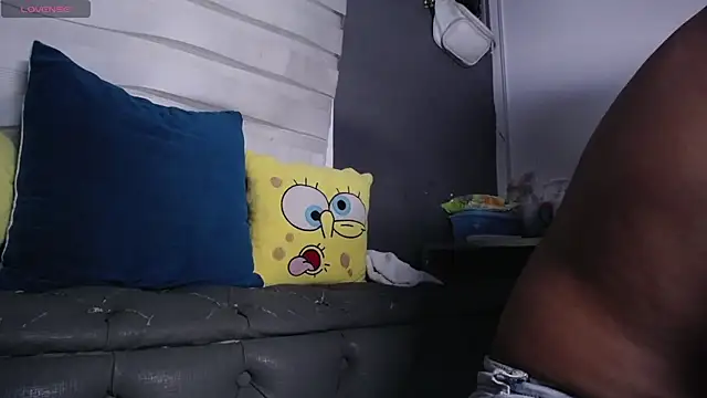 dirty_27cms webcam