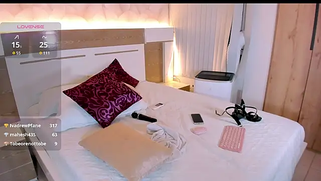 NOVACY-SANTOS webcam