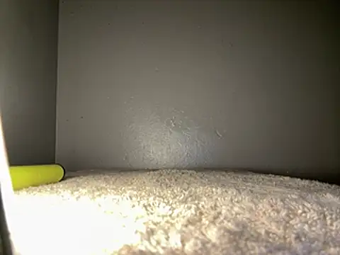RebornChimney5 live cam on StripChat