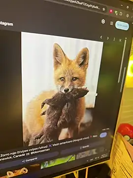 ZaraLuuv webcam